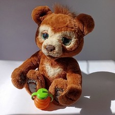 Ours curieux interactif - l'ours,