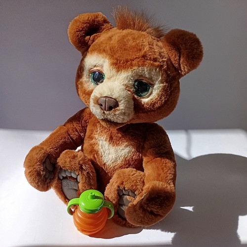 Ours curieux interactif - l'ours,