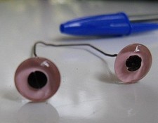 Taxidermie yeux ancien verre