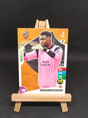 2025 panini adrenalyn xl - panini,