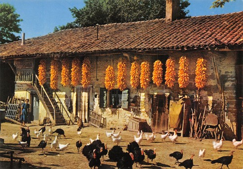 01-FERME