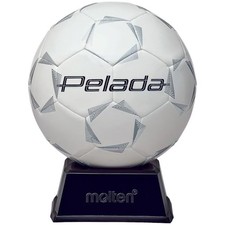 Ballon de football dédicacé