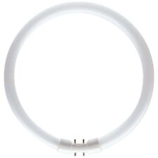 Ampoule GE T5 55W 840 circulaire 2GX13 blanc froid