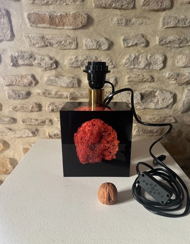 Pierre giraudon lampe corail - pierre,