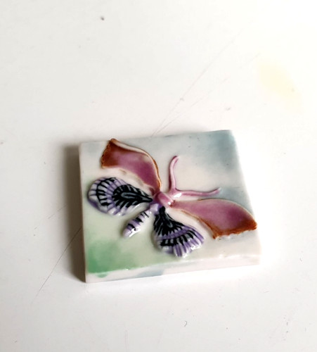 Fève papillon centenaire - papillon,