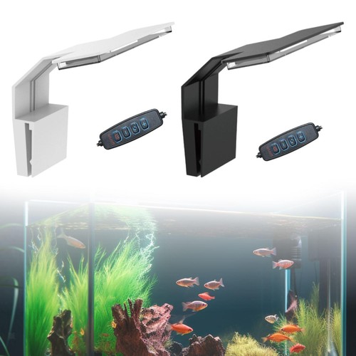 éclairage pour aquarium - Éclairage,
