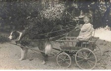 Enfant - Fillette dans une petite charette tirée par un chien - Attelage