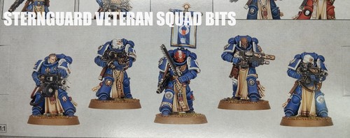 Warhammer 40k space marines - 40k,