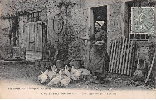 Am21391 bourg une - 01-am21391.bourg.une, ferme