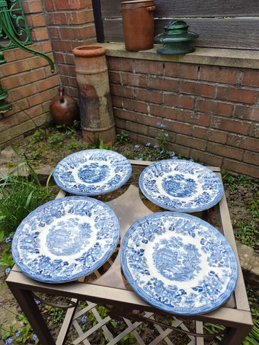 Lot assiettes plates dessert - lot, 4