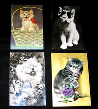 CHAT POUËT POUËT UNE AVEC