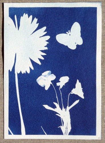 Format carte postale - format,