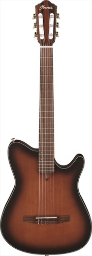 Guitare ibanez nylon sound - ibanez,