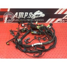 Faisceau électrique