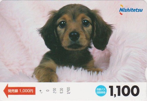 Carte japon animal - japon, chien