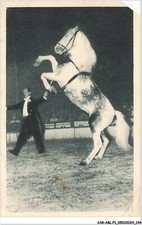 CAR-ABLP1-0073-CIRQUE - radio-circus - aural - cheval cabreur - vendue en l'é