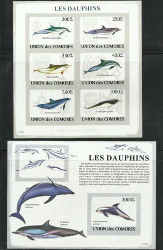 Comores mnh yt - comores,