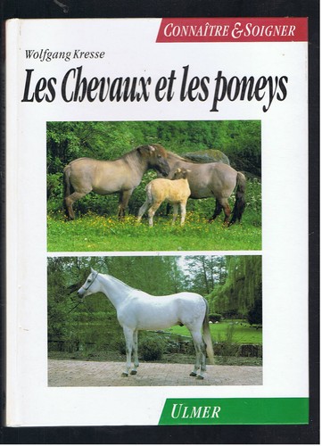 Les chevaux poneys - les,