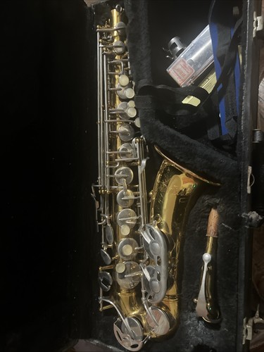 Alto saxophone musical - alto,