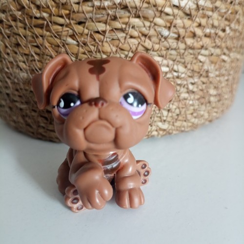 Authentic littlest lps petshop - authentic,