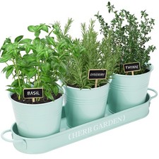 Jardin d'herbes aromatiques