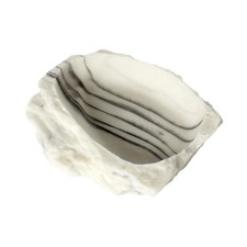 Bol d'eau en résine pour reptiles, agame barbu, caméléon, tortue