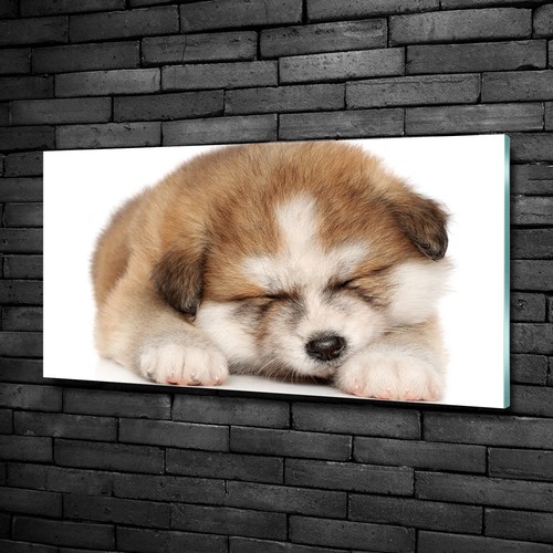 Tulup tableau sur verre - tulup,