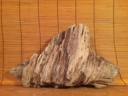 Beautiful driftwood garden - beautiful, 15"