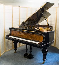 Blüthner piano queue - piano,