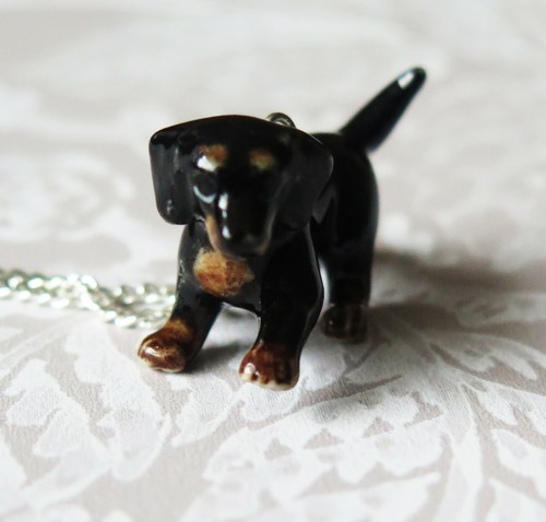 Teckel chiot chien porcelaine - teckel,