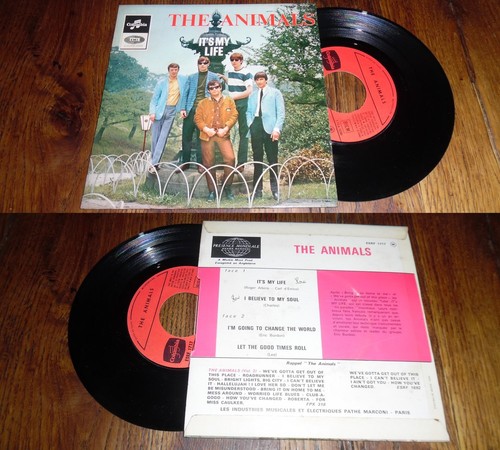 The animals s - –, my