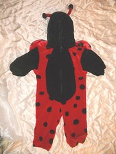 Miniwear lady bug - lady, halloween