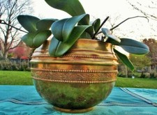 Jardinière ancienne fleurs