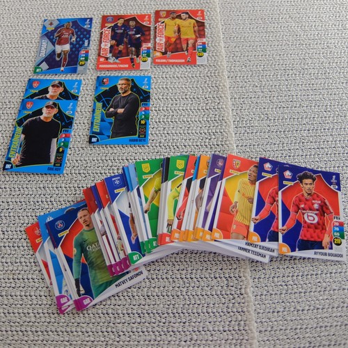Cartes foot ligue panini - 1,