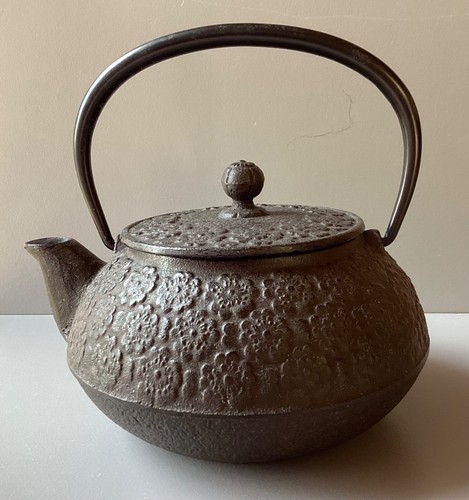 Bouilloire théière japonaise