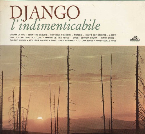 Django reinhardt - django,