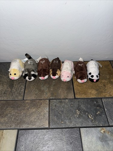 Lot zhu pets hamsters - 7,
