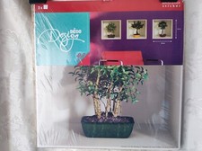 Autocollant 3 stickers Banzaï adhésif vinyl Décoration Salon 30 X 30cm