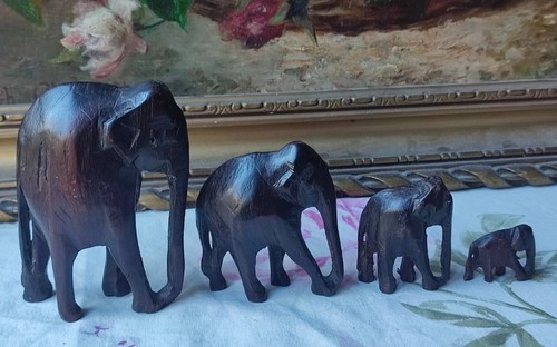 Anciens éléphants - anciens,