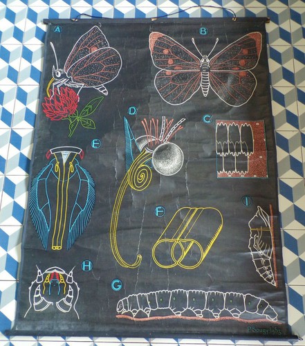 Ancien affiche scolaire - ancien,