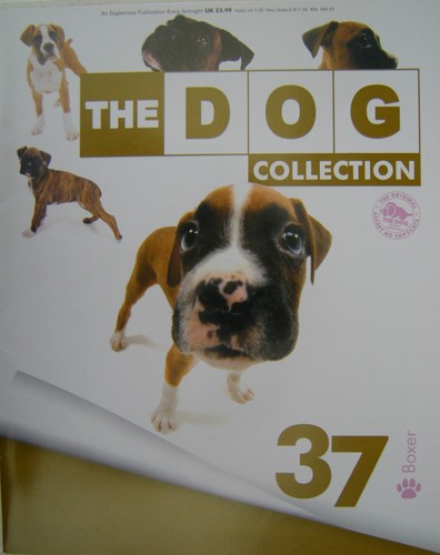 The dog collection question - dog,