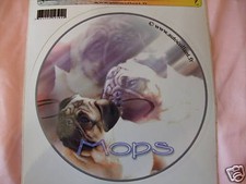 1 autocollant - motif chien
