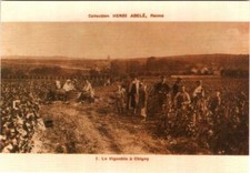 Cpm reims coll champagne - reims,