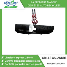 🏆 GRILLE CALANDRE PEUGEOT