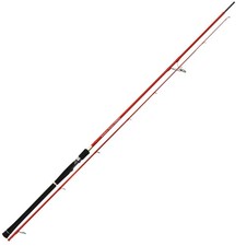 Tenryu Dragon Express