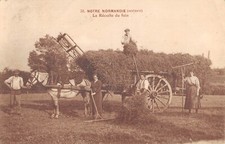 CPA 14 NOTRE NORMANDIE / LA