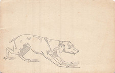 CP ILLUSTREE CHIEN A L'AFFUT - 37833