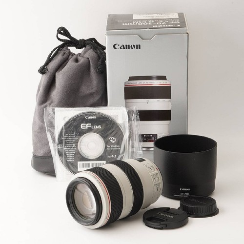 Canon 300mm 6 l - canon, ef