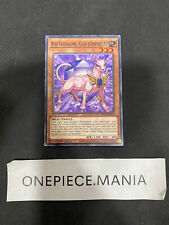 Yu-Gi-Oh! Bête Cristaline : Chat D'Améthyste SDCB-FR002