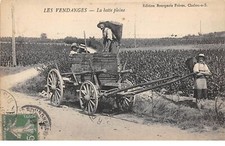 Agriculture 64243 les - -,